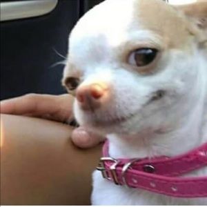 Meet your Posher, Esmeralda